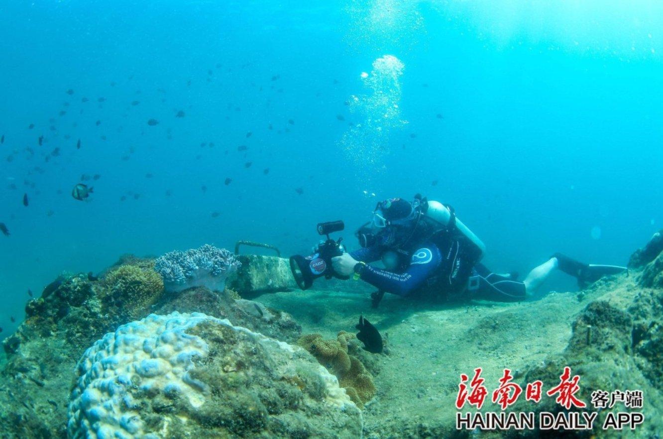 知识星球平台-专注于过年回家会被父母催婚吗?知识的学习社区