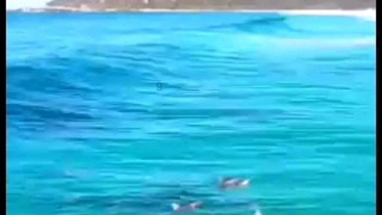 烛火照真金